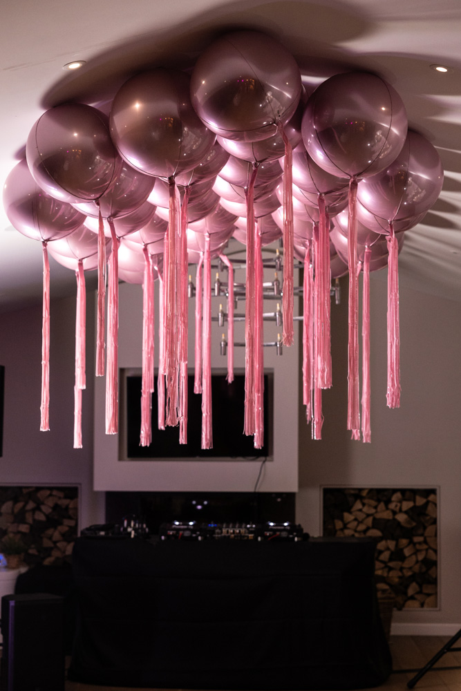 Phoebe & Daisy's 21st Birthday Party