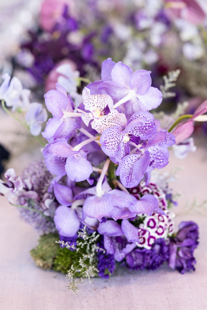 Tatcha Branding at a Liverpool Event